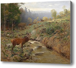 Картина Стадо оленей на лесной поляне