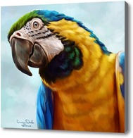 Картина Попугай ара