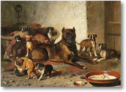 Картина Бульдог и щенки