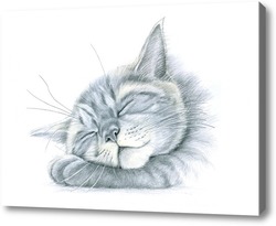 Картина Спящий котишка