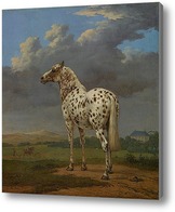 Картина Пегая Лошадь