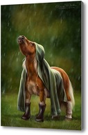 Картина Пони под дождем