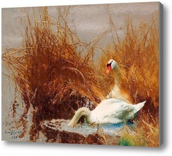 Картина Лебеди на воде