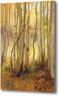 Картина Солнечные лучи в березовом лесу