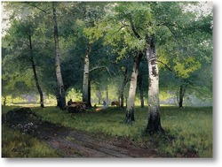 Картина Березовый лес. 1908