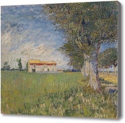 Картина Сельский дом в поле пшеницы