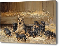 Картина Немецкая овчарка со щенками.Бинкс Рубен Вард
