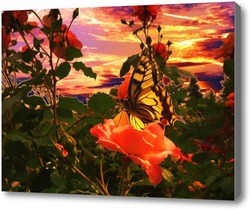 Купить картину Бабочка и роза