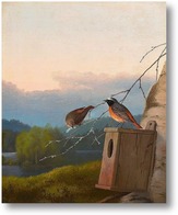 Картина Горихвостки на кормушке
