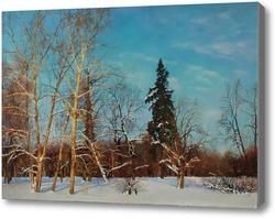 Картина Деревья в снегу .Мариенбург. Гатчина. 