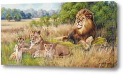 Купить картину Львы на отдыхе