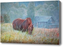 Купить картину Летний дождь