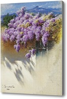 Картина Глициния в цвету, Крачковский Иосиф