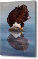 Картина Орел и его отражение 