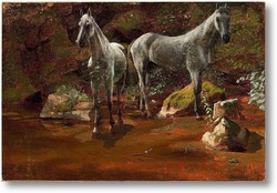 Картина Изучение диких лошадей