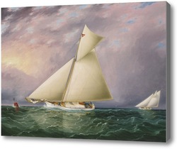 Картина Яхты в гавани Нью-Йорка