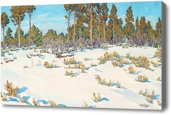 Картина Снег.Лес в Гранд Каньоне