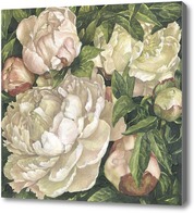 Картина Утренние розовые пионы