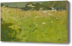 Картина Цветы в полях