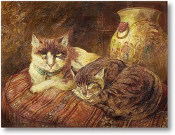 Картина Черепаховые кошки