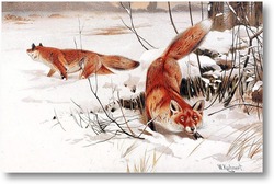 Картина лисы в снегу