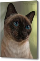 Картина Кошка с голубыми глазами 