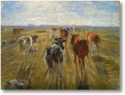 Картина Крупный рогатый скот на острове Сальтхольм, 1890