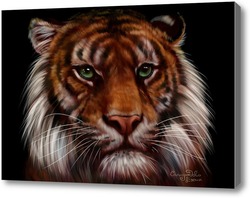 Купить картину Тигр