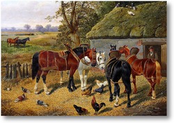 Картина Лошади, куры и птицы, сарай