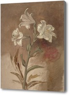 Картина Белые лилии 