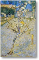 Картина Грушевое дерево в цвету, 1888