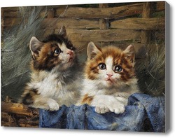 Картина Двое котят в корзине с синей тканью.Джулиус Адам