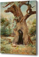 Картина Старый дуб