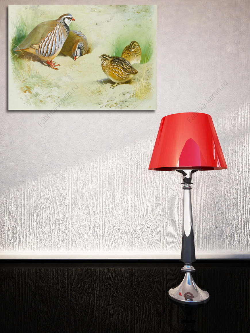 Картина Птенцы французской куропатки