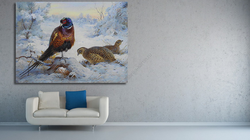 Картина Петух и курица Фазана зимой